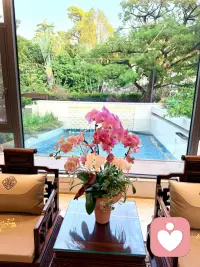 很多时候，我们不是需要被“拯救”，而是需要被“听见”，在倾诉的过程中，答案往往会自己浮现出来，我在这里，陪你一起梳理情绪。配图
