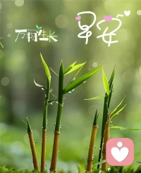 如果可以，我想做那个能接住你所有情绪的树洞，在这里，你不必坚强，不必伪装，所有真实的困扰，都有回响。配图