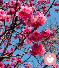 你不必完美，也值得被爱， 真正的正能量不是否认阴影，而是学会与完整的自己和解。配图