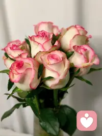 有些路，一个人走会很慢，两个人走会安心很多，我愿做那个陪你走一段的人，不着急解决问题，有时候，被听懂了，就已经解决了大半。