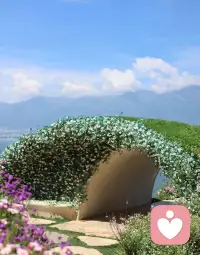不要压抑自己内心的洪水猛兽，面对它，让它能够自然流淌，堵住的那些心酸也需要这样一个安静的地方，让自己倾诉，我一直在这里，耐心的倾听着。配图