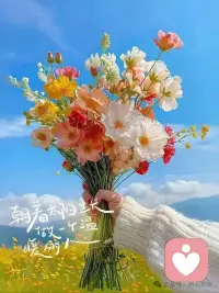 允许自己慢下来，是对生活的一种温柔接纳。慢慢地努力、慢慢地改变、慢慢地成长，你会发现，人生前期的“慢”，终会变成人生后期的“快”。

真正的“快”，不是速度的竞赛，而是方向坚定的匀速前进。允许自己做一朵晚开的花，只要在变好的路上，慢一点又何妨。配图