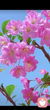 我不评判、不说教、不打断、  
只是安安静静、听你把心里的话都说完。
你值得被看见、被听见、被好好的拥抱。配图