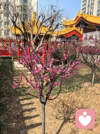 我不评判、不说教、不打断、  
只是安安静静、听你把心里的话都说完。
你值得被看见、被听见、被好好的拥抱。配图