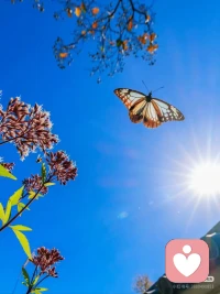 有些时候，生命的馈赠
它会伪装成失去的样子
让我们因为某些失去
而向内激发出更多的可能性配图