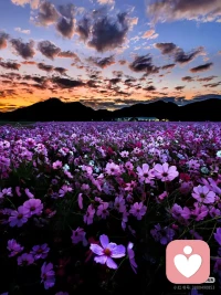 有些时候，生命的馈赠
它会伪装成失去的样子
让我们因为某些失去
而向内激发出更多的可能性