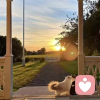 我们终其一生，都在和自己的不完美握手言和。那些深夜里辗转反侧的焦虑，那些觉得自己不够好的自我否定，那些被生活撞得鼻青脸肿的瞬间，从来都不是你的软肋，而是你慢慢长出铠甲的印记。不必强迫自己时刻发光，也不用追赶别人的脚步，你可以是缓慢生长的草木，可以是安静流淌的溪流，允许自己偶尔脆弱，允许情绪有出口，允许一切发生。内核强大的人，从不是无坚不摧，而是懂得接纳自己的所有模样，在跌跌撞撞里守住内心的温热，把日子过成细水长流的温柔，慢慢走，别着急，你本身就值得被偏爱，也终会在自己的时区里，开出独属于你的花。