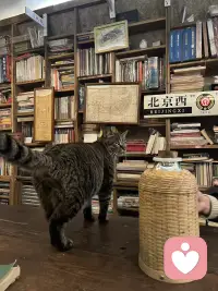 昨晚见了一位阔别18年的老友，相谈甚欢，感慨万千。
原来时间真的会慢慢抚平伤痛，对的人自会温暖如初，而错过的，也终究成了过往。
不必回头，不必遗憾，好好珍惜眼前拥有的一切，就是最好的人生。