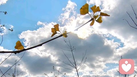 当我们害怕“真实”不被爱时,该如何重建亲密关系信心