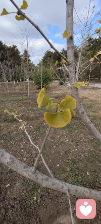 我在线并且有时间为你提供专业服务