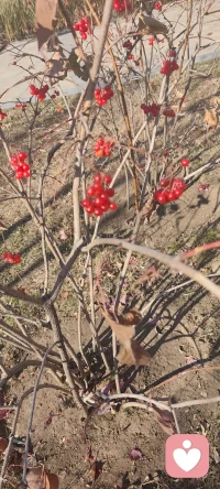 我在这里为你保持一个安全不评价的空间让你畅所欲言