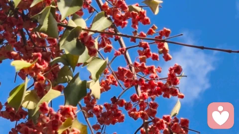 情感账簿：为什么我们的付出总在计算回报