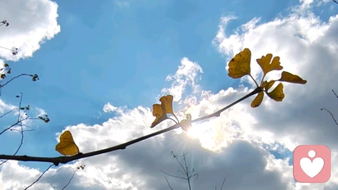 好的关系从守护边界开始