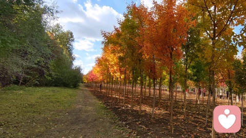 为什么你总在“内耗”?因为你把“别人的评价”当救命稻草