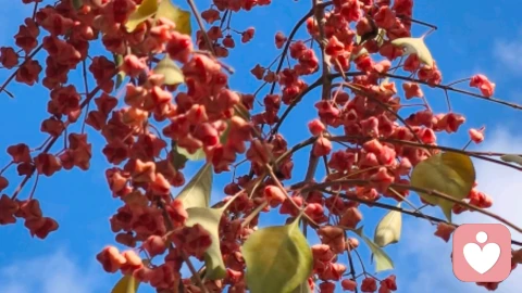 躺不平又停不下来?你不是懒,是在硬撑