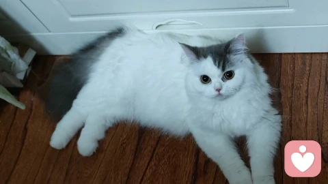 爱的语言说对了，才不会累