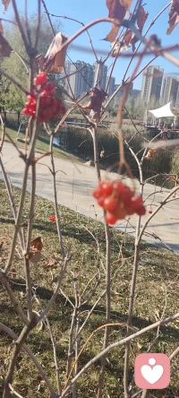 你有没有过这样的时刻：明明心里翻江倒海，嘴上却只说“没事”？我们习惯了伪装坚强，却忘了真正的被爱，是可以在对方面前卸下所有铠甲。在这里，你不必“没事”，我在听你的“有事”。配图