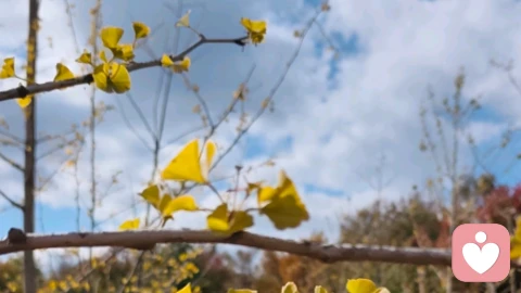 接住情绪的碎片,才是成年人最顶级的自愈