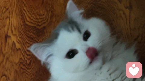 独自疗愈的极限，为什么专业陪伴能让恢复更快