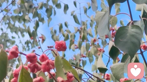 停止精神内耗，从重构心理认知开始