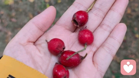 建立清晰的心理边界，是维护健康关系的关键