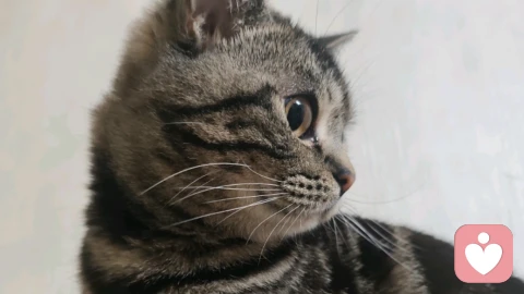 如何识别以爱为名的隐形伤害