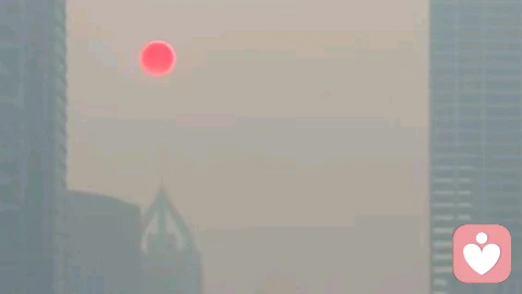 从动荡到安稳:这一代老人的焦虑,如何在隔代养育中代代相传