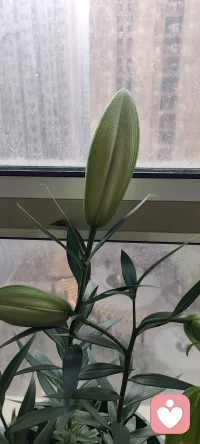 清晨的阳光刚漫进房间，我已经收拾好坐在桌前准备接单啦。新的一天，带着清醒的状态和真诚的心意，在这里等需要的朋友。如果你也是早起的人，或者此刻正好需要聊聊，我都在。