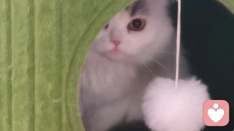 焦虑依恋：我越是在乎，越活在“他不够爱我”的剧本里