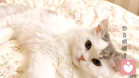 别急着抓住谁：当你开始爱自己，对的人会慢慢走向你