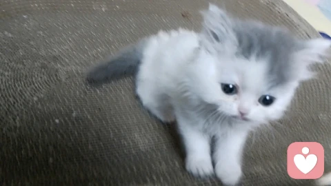 深夜等候室：当焦虑依恋者遇见倾听的微光