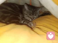 深夜难眠时，你是否也需要一个树洞？我在这里，不评判、不打断，认真倾听你的每一句话。把心里的疲惫、迷茫都倒一倒，让情绪找到出口，给心灵松松绑。