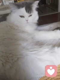 很多父母困惑：为什么越管教，孩子越对抗？
 
心理学中有个很真实的现象：
你越是盯着孩子的问题，孩子就越容易变成问题本身。
 
就像：
你总说孩子拖拉，他就越来越磨蹭；
你总说孩子胆小，他就越来越退缩；
你总说孩子粗心，他反而频频出错。
 
孩子会下意识认同父母口中的“标签”，慢慢活成你反复强调的样子。
 
真正的亲子关系，不是纠正，而是看见。
多一句肯定，少一句指责；
多一份接纳，少一份焦虑。
你温柔对待孩子，孩子才会慢慢长成你期待的模样。
 
愿我们都能放下焦虑，
用爱和耐心，陪伴孩子从容长大。☀️