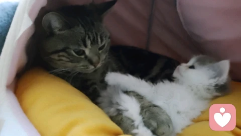 妈宝：被共生关系困住的“永远长不大的孩子”