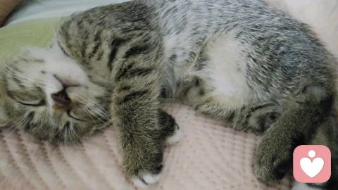 瘫痪爷爷的眼泪：当最亲的人，成了最“看不见”你的人