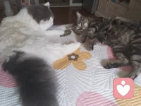 倾听的意义，在于拨开情绪的迷雾，看见彼此的立场。今天也在努力做情绪的摆渡人。