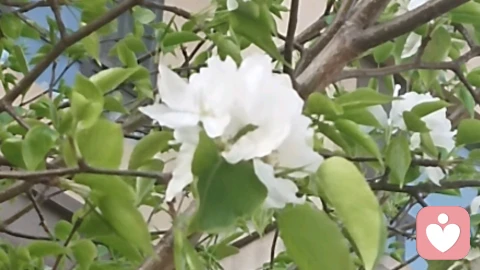 聚会结束后,才是高敏感最累的时候