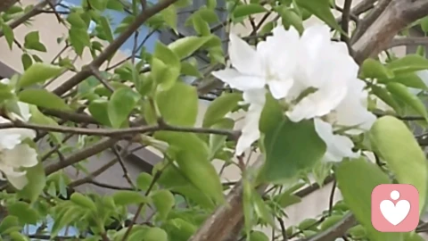 高敏感的你为什么不会拒绝别人?别人一开口你就有求必应。