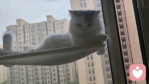被爱的真相:在婚姻里受尽委屈的你该看看了