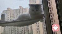 被爱的真相：在婚姻里受尽委屈的你该看看了