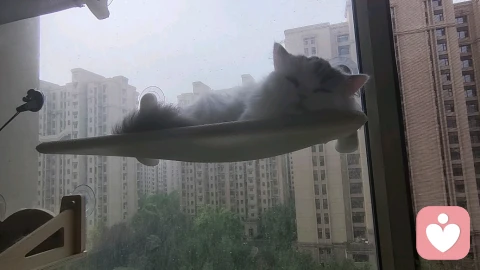 焦虑型依恋者的内心地图｜为什么你明明想要爱，却总在亲手推走它？