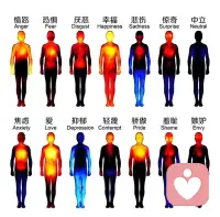 有没有过这样的时刻：
明明没感冒，却突然浑身发冷；
明明没运动，胸口却一阵发烫；
明明在笑，手脚却冰凉得像冰。 

其实，你的身体一直在用温度“说话”，只是你没听懂。今天这组热成像图，会让你重新认识自己的情绪。