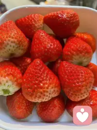 人不需要每天都幸福，只要不痛苦，不恐惧，过的平静，舒服，悠然自得，就已经很好了配图