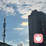 蓉蓉的头像