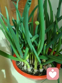 白骨精在孙悟空眼里是妖精，在八戒眼里是美女，在唐僧眼里是无辜众生，所以这个世界没有真相，只是视角不同
还在意别人对你的看法吗？