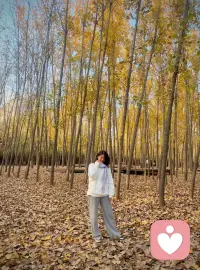 心态调好，叫格局，日子过好，叫本事。把身体照顾好，把喜欢的事做好，把重要的人待好，你要的一切都在路上。配图