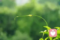 一个人想要偏离自己童年时期形成的行为是很困难的。很少有人能够改变自己童年时期的行为模式，尽管在成年后他们发现自己处于完全不同的情境中。即使成年人的生活态度有所改变，也不一定意味着行为模式的改变。心灵生活的基础不会改变，一个人在童年和成年期保持着同样的活动路线，这使我们推断他的生活目标也没有改变。——阿德勒