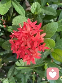 独处就是一个调适心情、调节自我的过程。在你被世间的喧嚣、疯狂快乐冲昏头脑时，你需要独处，回归冷静，整理一番头绪。在你生活受挫、焦躁失落时，你需要独处，重新冷静地审视自我，还自己一份“心静”。