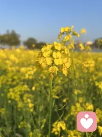 带着觉知生活，身心不会不平衡，接纳一切，果上随缘，上善若水。