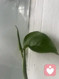 每个成人心里住着一个内在的小孩，渴求太多，被外在包裹，于是不停的在自我世界里寻求更多，直到看见那个小孩为止，多抱抱自己，生命会更好。配图